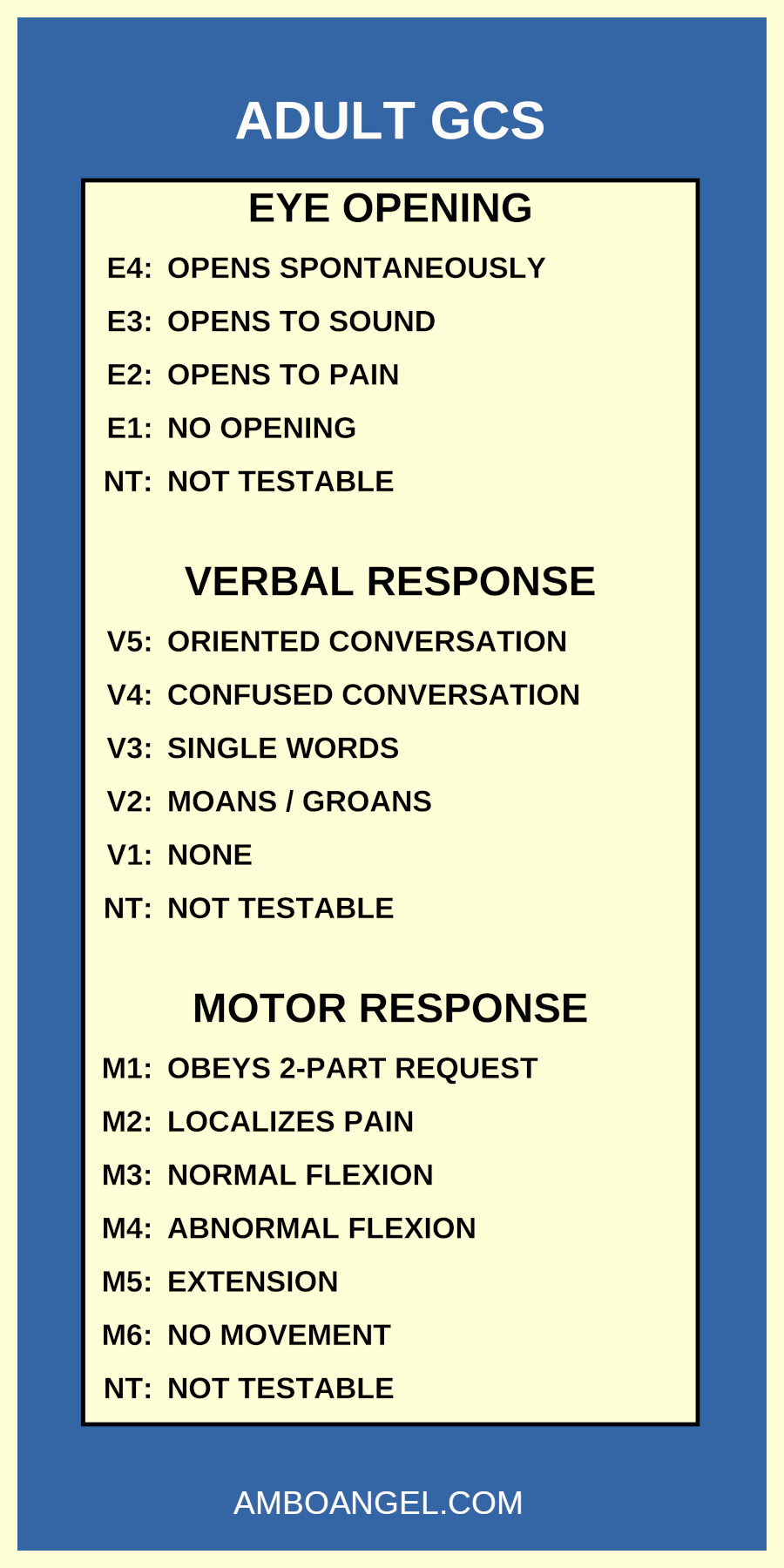 Adult GCS Scale System