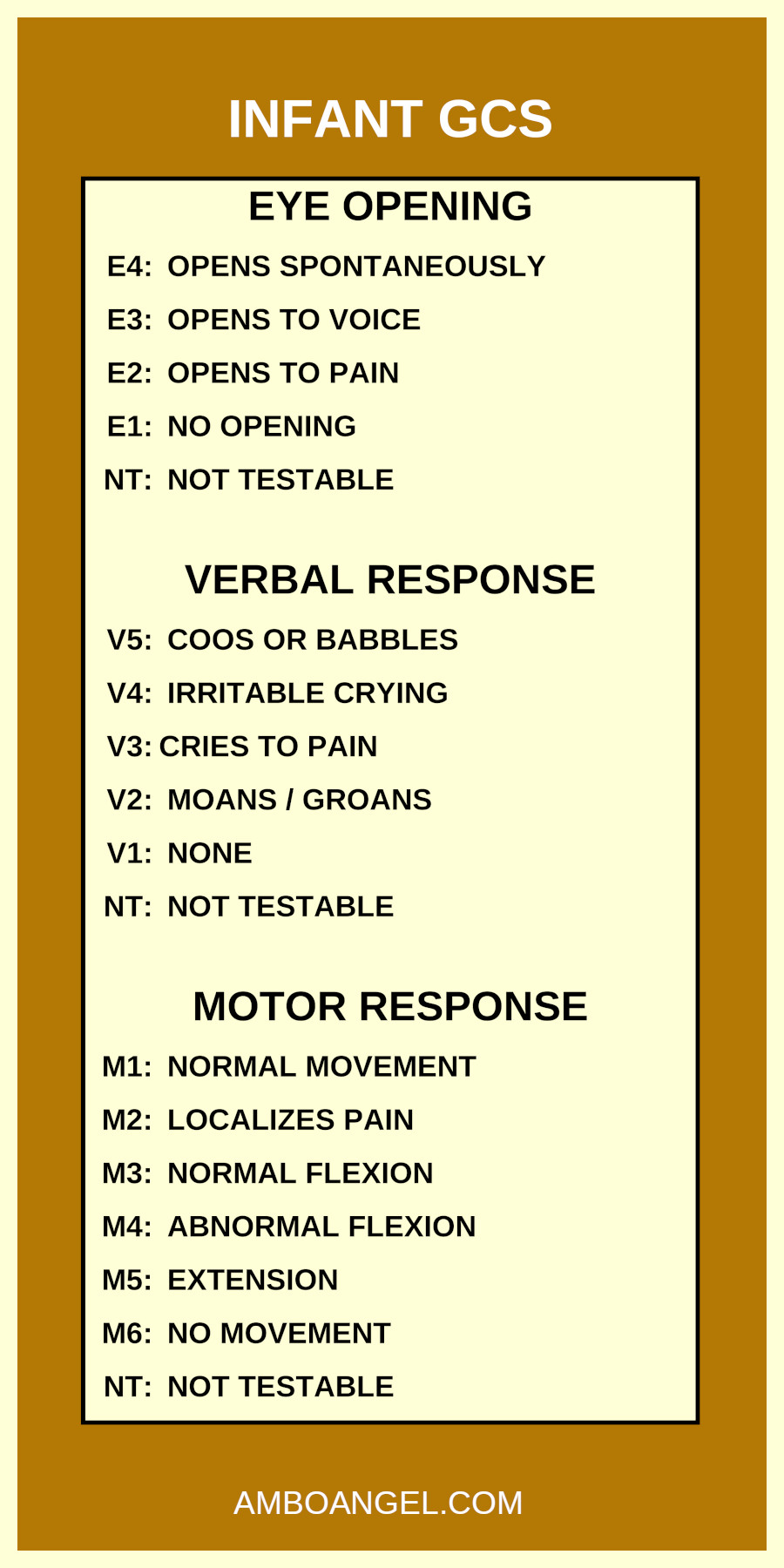 Infant GCS Scale System