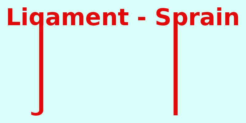 Ligament vs Sprain and Tendon vs Strain