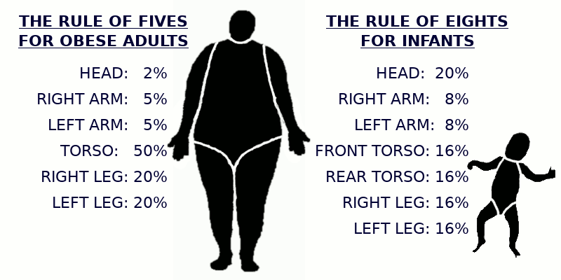 The Rule of Fives and the Rule of Eights Image