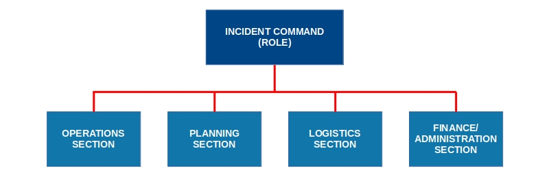 The 5 Basic ICS Sections