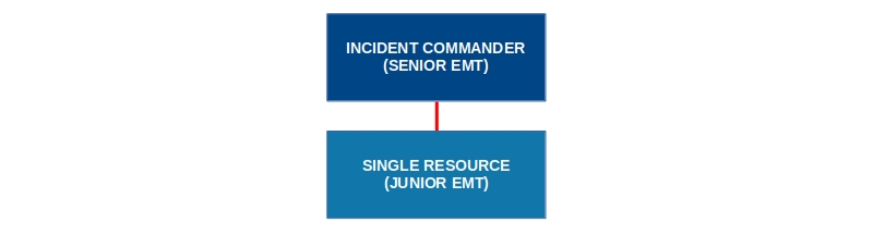 Ambulance ICS Management Structure