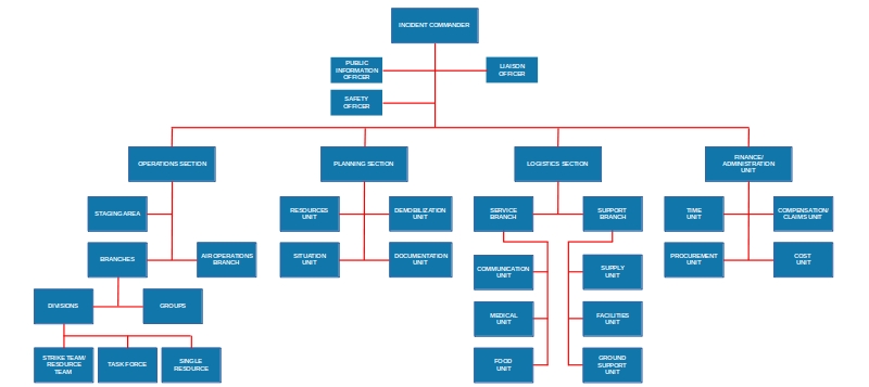 Conceptual ICS Management Structure