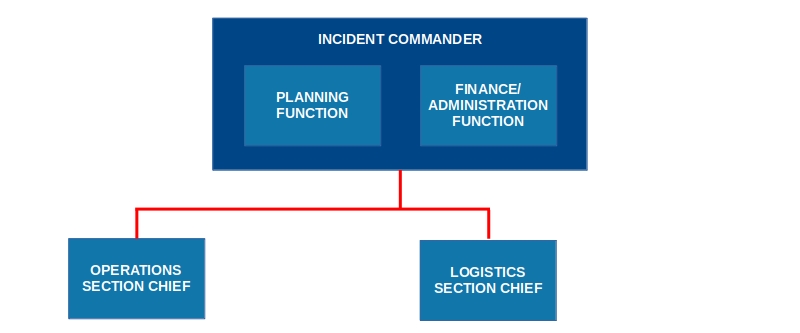 Small ICS Management Structure