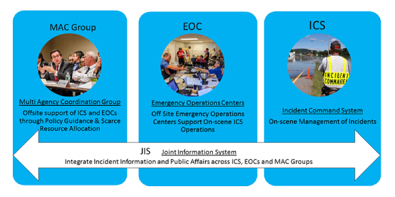 The Four Major Command and Coordination Components