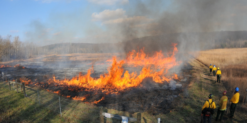 Prairie Fire With Fire Fighters